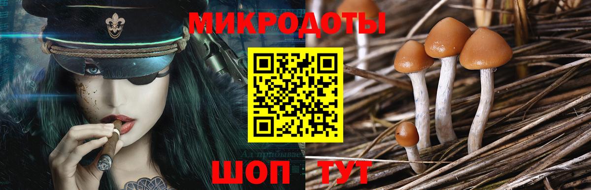 Галлюциногенные грибы мухоморы  Вход с VPN  Сердобск 